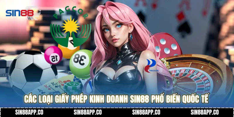 Các loại Giấy phép kinh doanh SIN88 phổ biến quốc tế