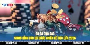 Đá Gà Cựa Dao