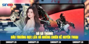 Đá Gà Thomo