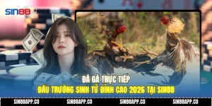 Đá Gà Trực Tiếp